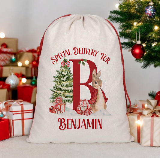 Christmas Rabbit Santa Sack