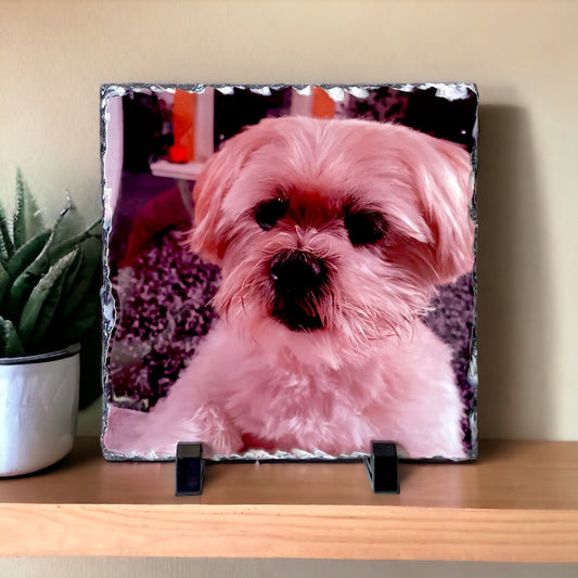 Pet Slate Photo Gift | Rock Slate Personalised Photo